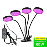 Natty Records Store 60W / China LED Grow Light with Timer